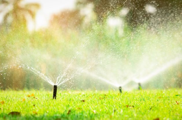 An irrigation system’s sprinklers watering a lawn.