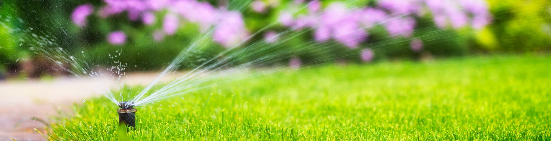 Lawn Care Services in Northern Florida & Georgia | McCall ...