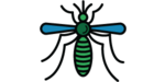 illustrated image of a mosquito