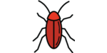 illustrated image of an insect