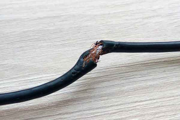 a chewed-through electrical cord