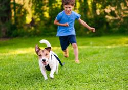 boy chasing dog in yard