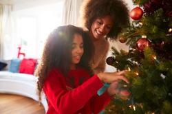 family hanging christmas tree ornaments