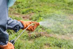 pest control professional spraying lawn