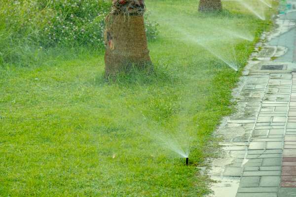 sprinklers soaking green grass