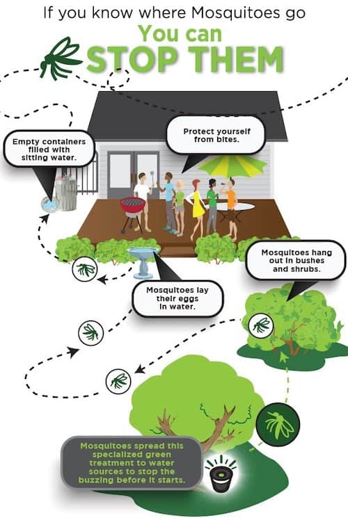 Infographic describing how mosquitoes spread