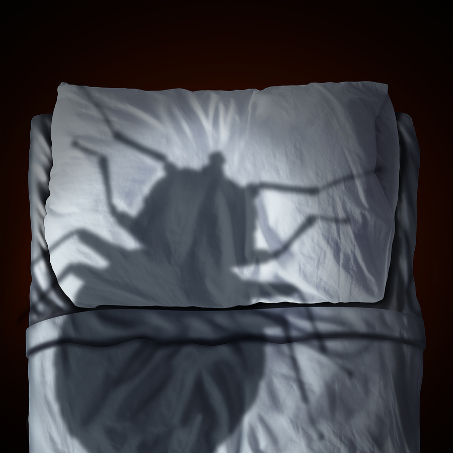 A shadow of a bed bug looming over a bed