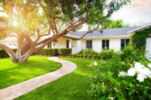 A beautiful home with lush landscaping and a healthy, bright green yard