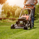 lawn care