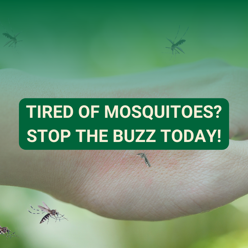 Mosquito control