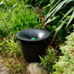 mosquito control