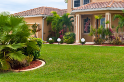 fall lawn care