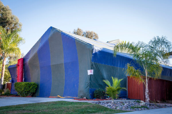 Photo inspiration: Fresh Look at 3 Solutions To Get Rid Of Drywood Termites In Florida