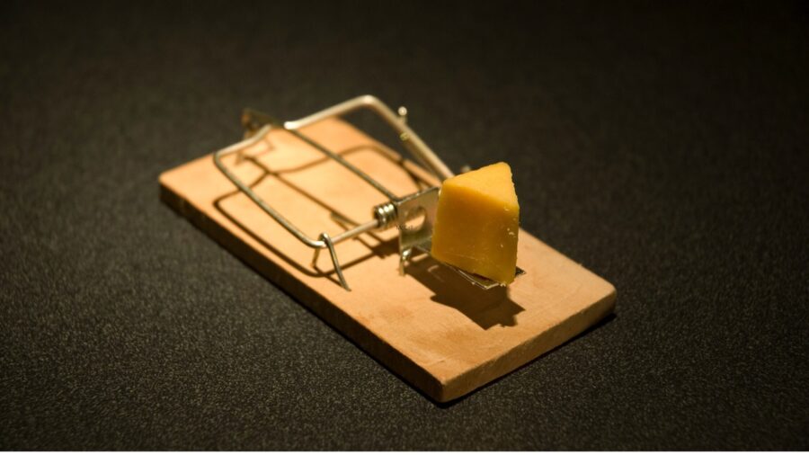 mice traps