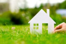 green pest control in florida