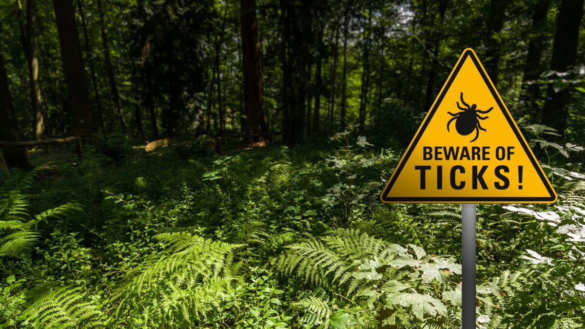 prevent ticks