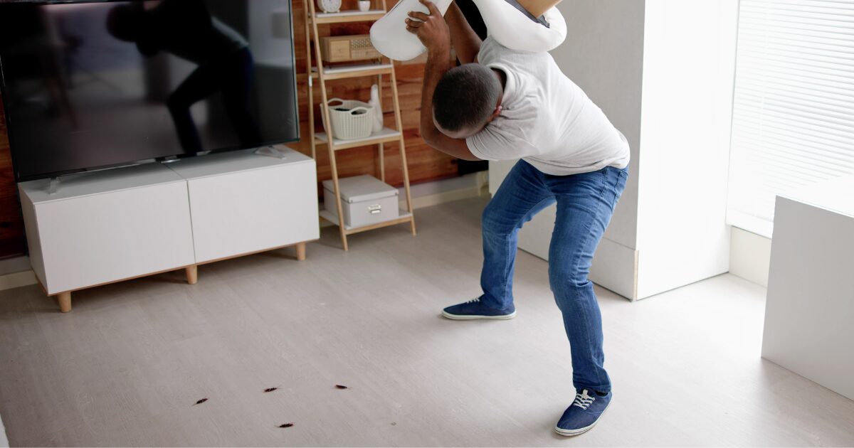 cockroach control