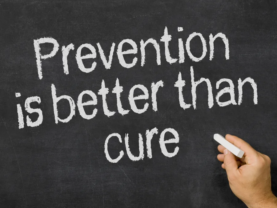 Mosquito Control in Gainesville: Eco-Friendly Prevention & Season Tips