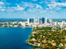Mosquito Control in Tampa: Season, Prevention & What to Expect