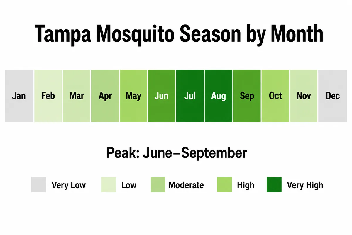Tampa mosquito activity by month, a calendar showing low winter activity and a June to September peak, in McCall brand colors.